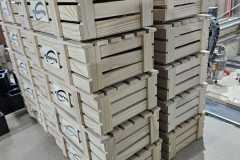 IMG-20250224-WA0087