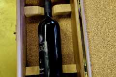 IMG-20250224-WA0098