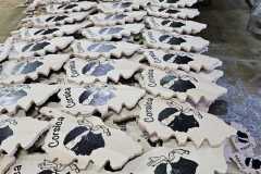 IMG-20250224-WA0104