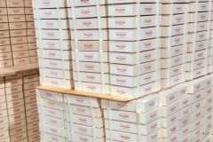 IMG-20250224-WA0136
