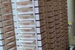 IMG-20250224-WA0140
