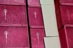 IMG-20250224-WA0149