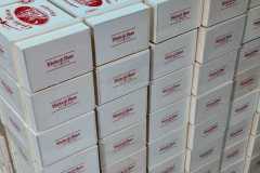 IMG-20250224-WA0151