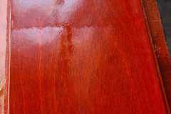 IMG-20250224-WA0152
