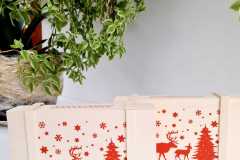 IMG-20250224-WA0163