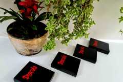 IMG-20250224-WA0172